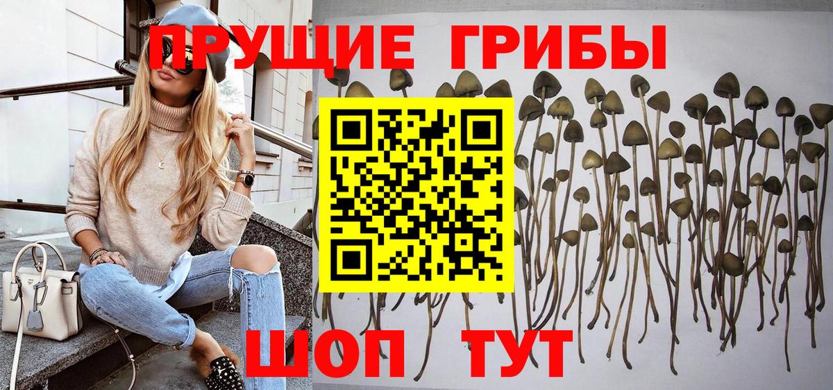 цены наркотик  Вход с VPN  Новочеркасск  Галлюциногенные грибы Magic Shrooms 